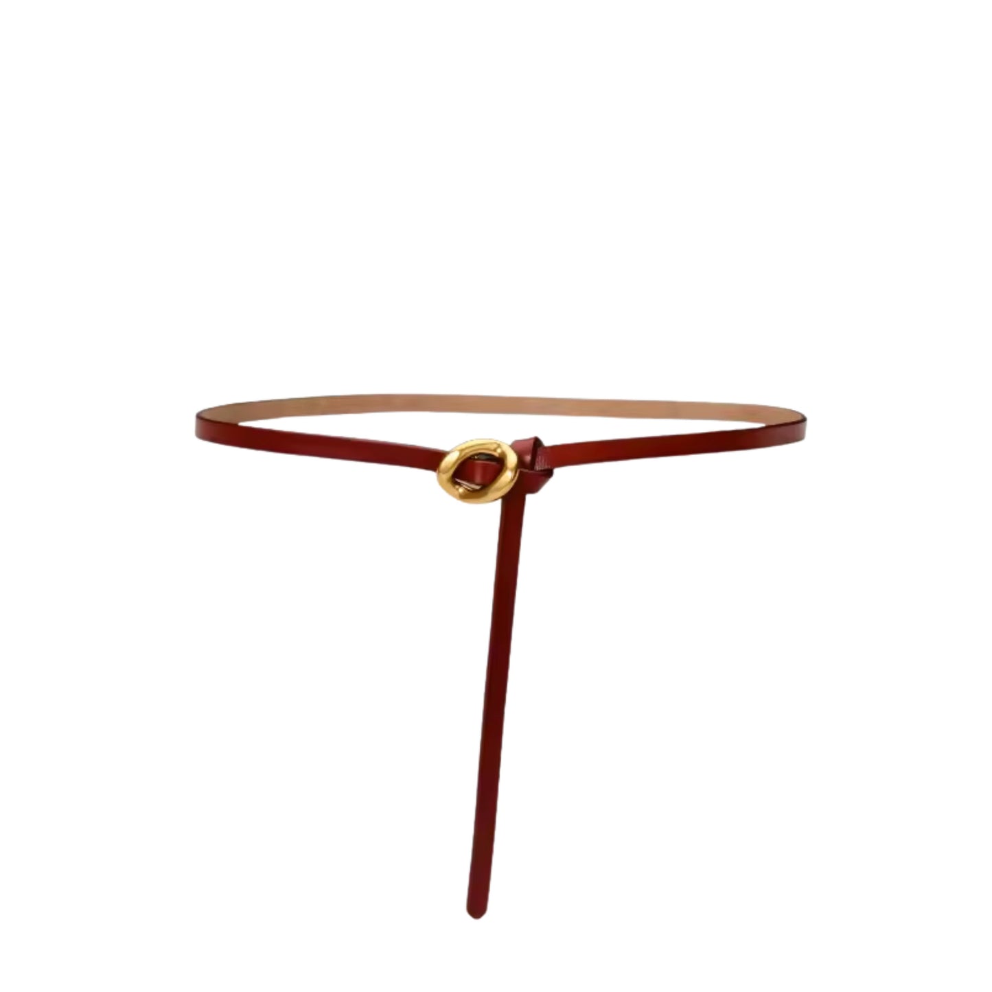Brown belt with a gold buckle on a white background