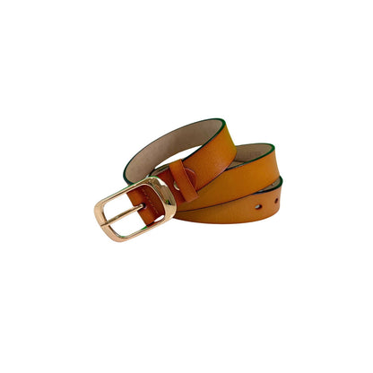 Brown leather belt with a gold buckle on a white background
